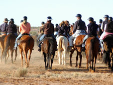 Australia-South Australia-Great Aussie Cattle Drive